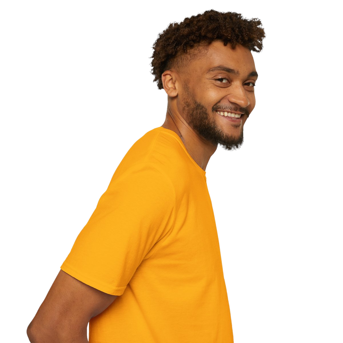 T-shirt, Gryphiconic